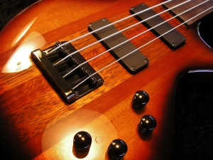 Rees Custom Fretless Bass