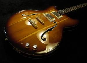 Bosanquet Australian Handmade 335 Style Guitar Full OEM Finish